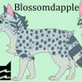 Blossomdapple