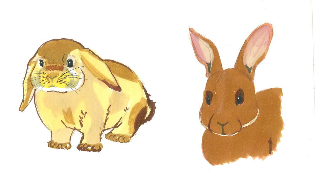 Talking Rabbit Deviantart Rabbit by Victoriaa1 on DeviantArt