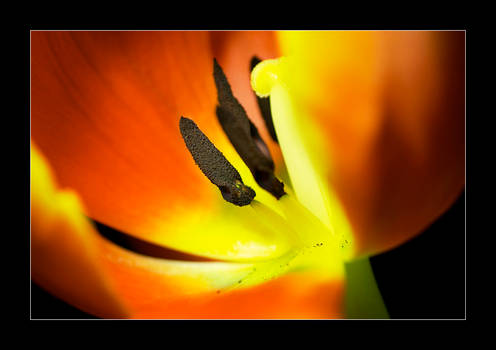 take a little look inside