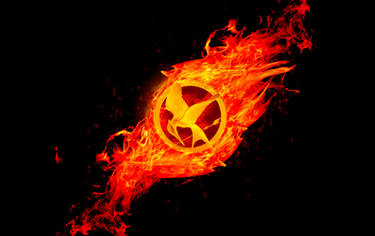 Hunger games catching fire (updated)