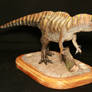 Acrocanthosaurus atokensis2
