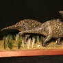 Pentaceratops sternbergi
