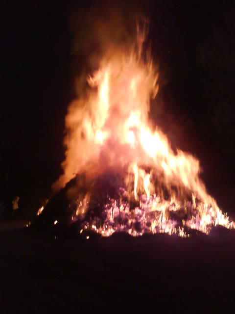 fireee