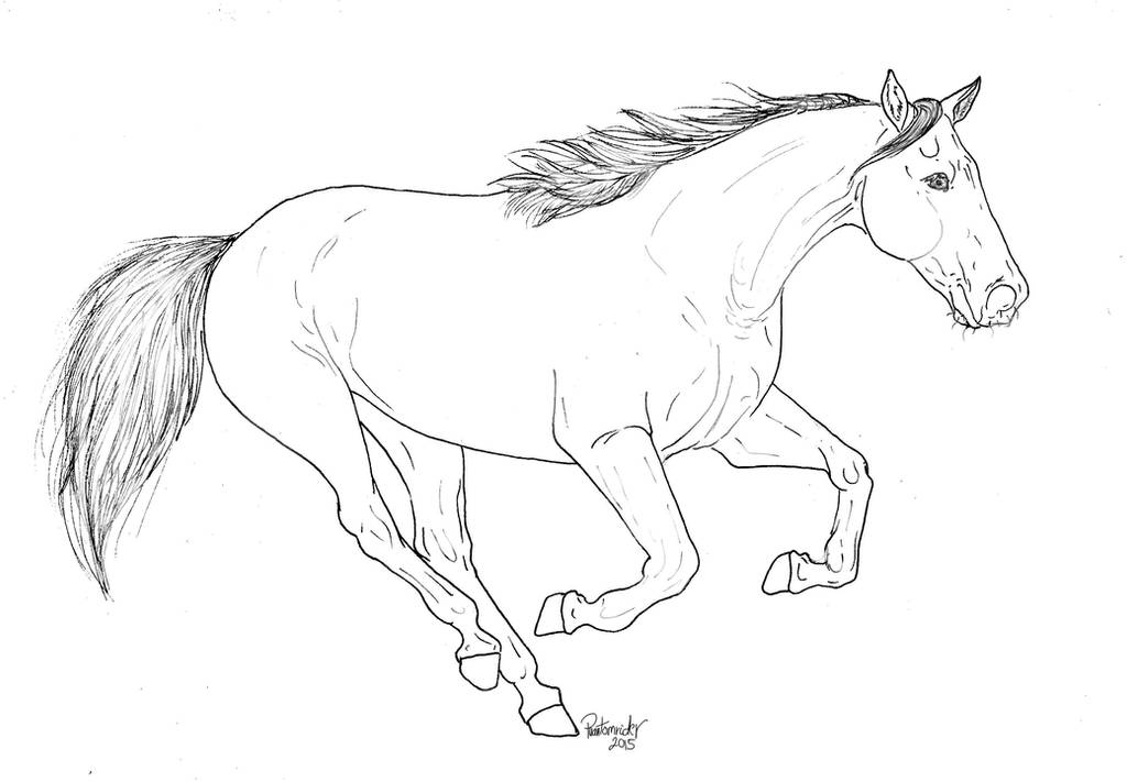 Download Running horse lineart for free use. by ...