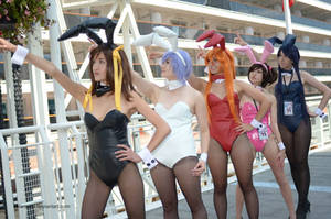 Haruhi Suzumiya Bunny Girl Cosplay 2