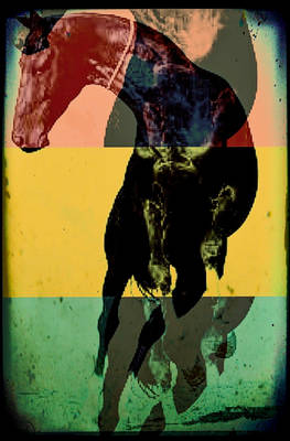 The Surrealist's Horse