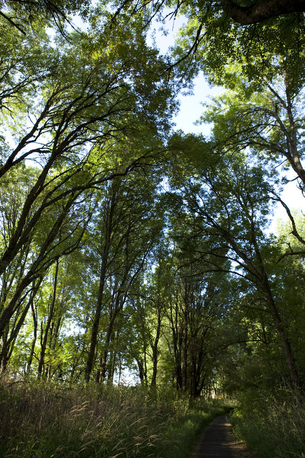 The Path Within... by SistersGrimms on DeviantArt