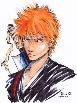 Bleach---Ichigo