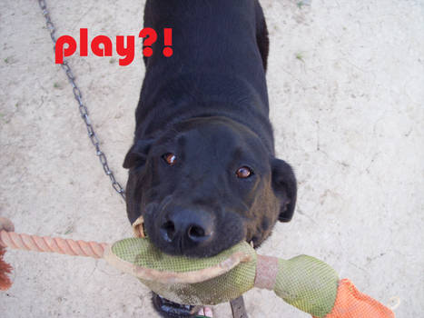 play?