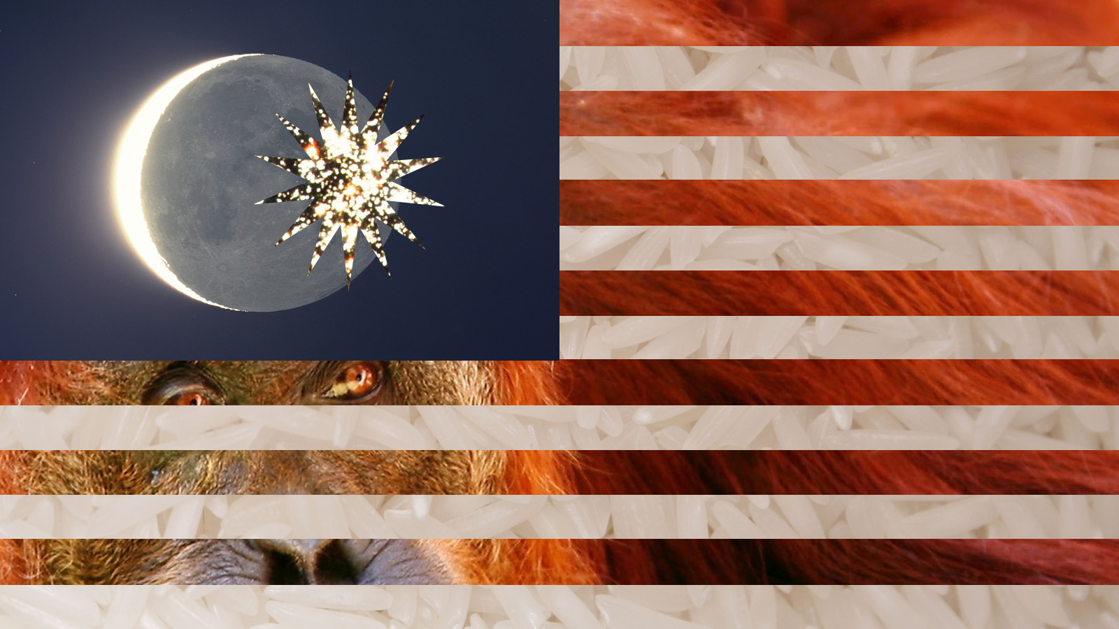 Malaysian Flag Wallpaper By Emma Constance On Deviantart