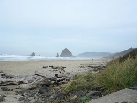 Cannon beach 1