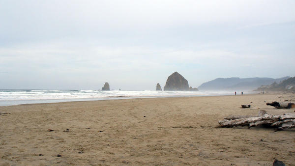 Cannon beach 4