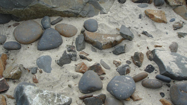 Cannon beach 6