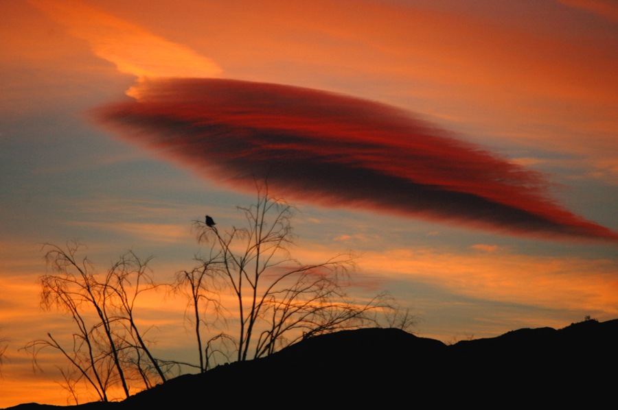 Strange Cloud