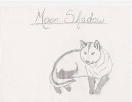 Moon Shadow By Migoto-Ookami