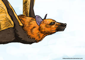 Fox Bat