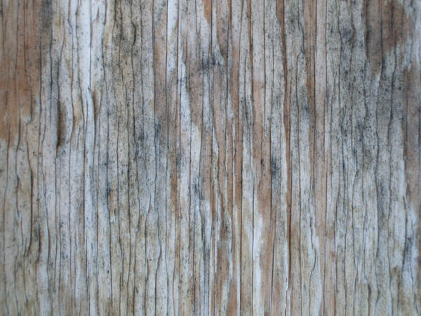 Wood Grain 18