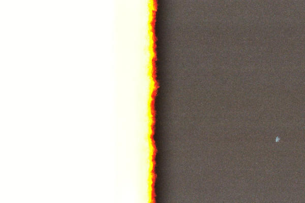 Film Grain 02