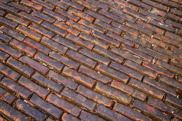 Hdr Brick Road 01