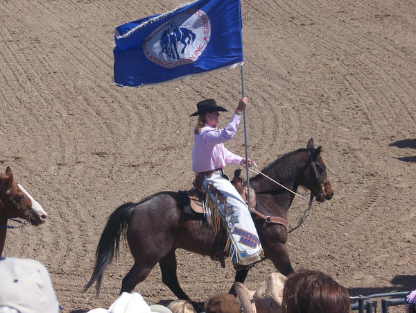 Rodeo 9 by Leopardpelt0 on DeviantArt