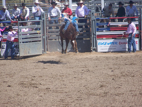 Sixten Rodeo Rodeo 16 by Leopardpelt0 on DeviantArt