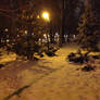 Snowy park