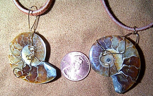 Dual Shells by RipItUpGenki on DeviantArt