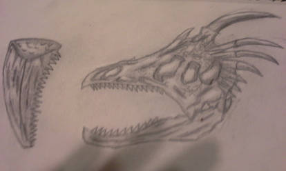 Dragon sketch