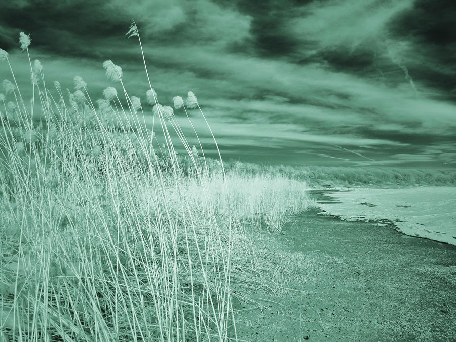 Nickel Beach (IR)