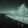 Mel Swart Boardwalk (IR)