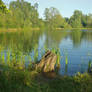 Waterford Pond Scene 1