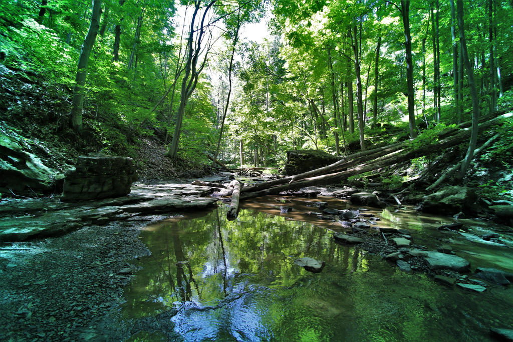 Calm Stream by RuralCrossroads360 on DeviantArt