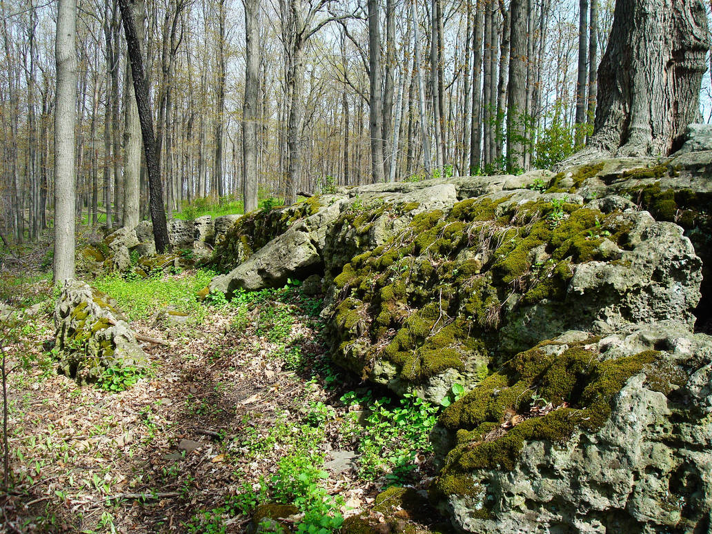 Musty Rocks Mossy Rock by RuralCrossroads360 on DeviantArt