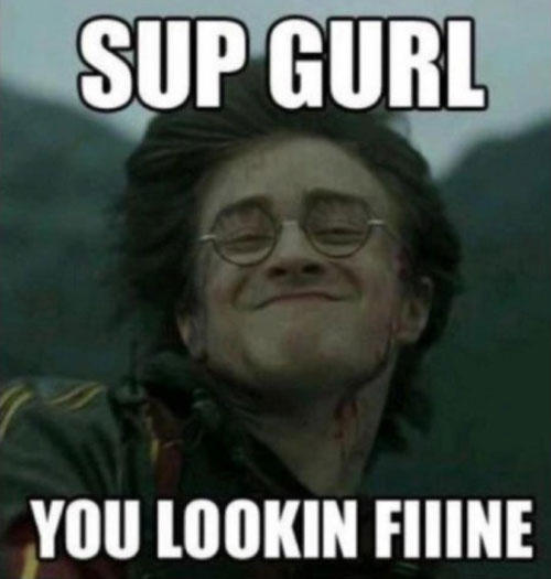 Harry Potter Memes (@MemesPotter) / X