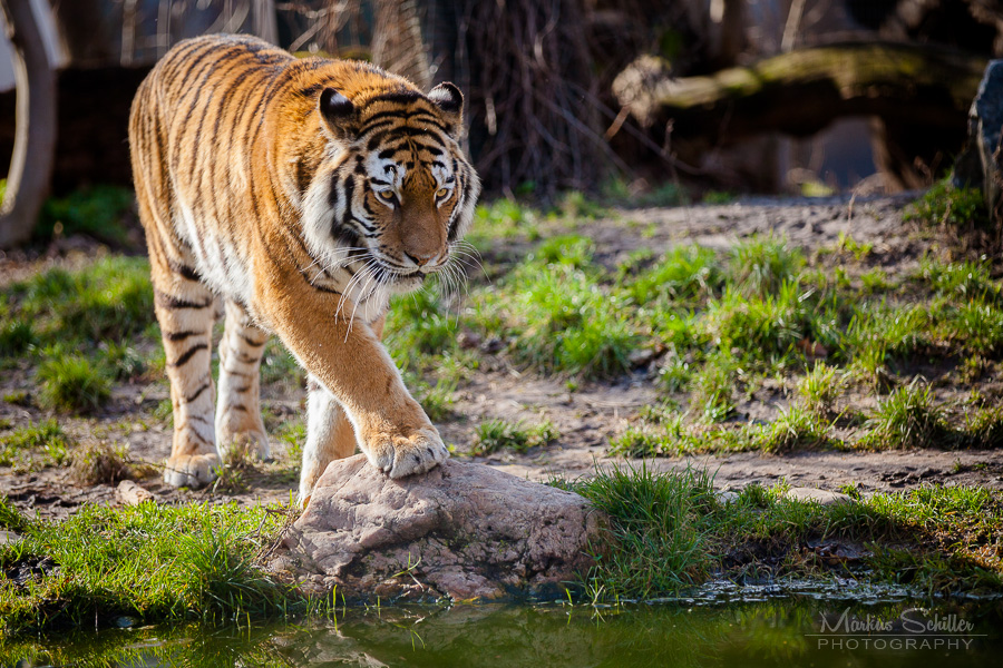 Enjoying The Warm Temperatures by spike83 Enjoying The Warm Temperatures by spike83