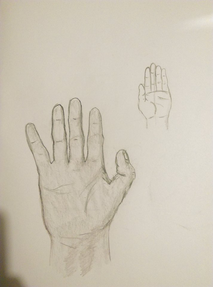 Hand Studies