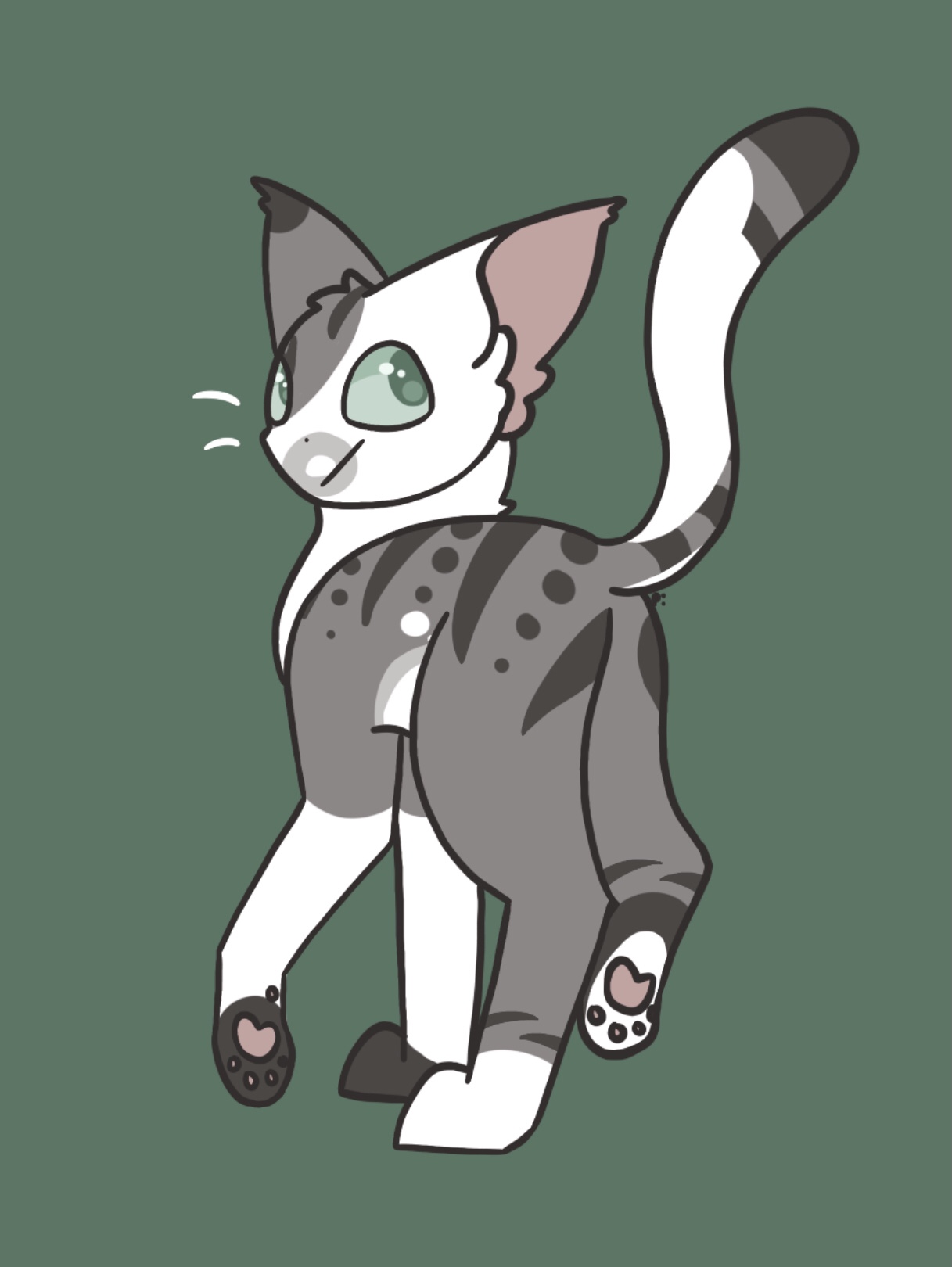 KITTY (adopt payment)