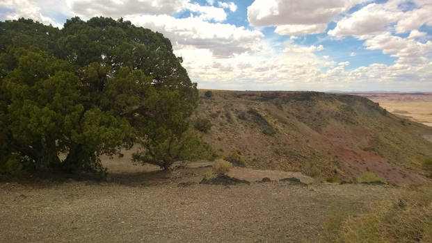 Painted Desert 39