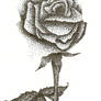 Pointilism Rose