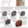 Painting and Stylizing Fur Tutorial