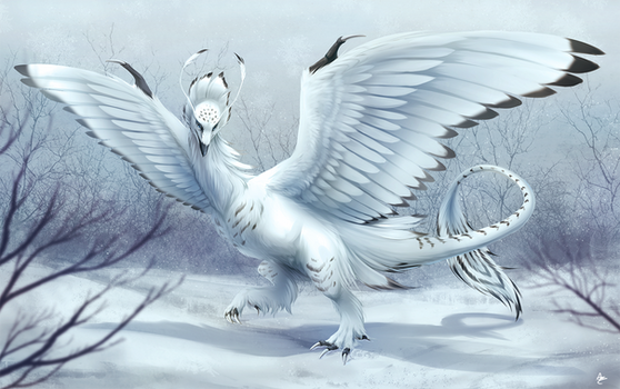 Snowy Dragon