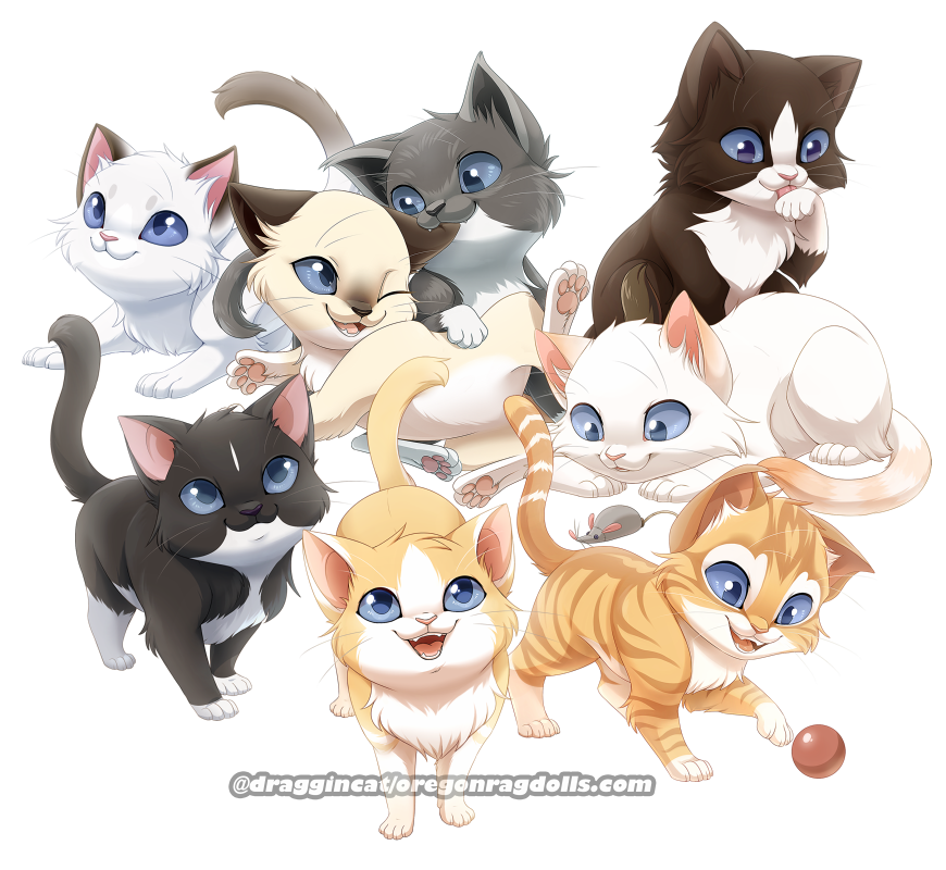 Com: Too Many Ragdolls by Seyumei on DeviantArt