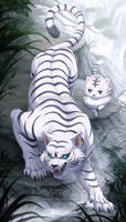 Com: Kohaku the White Tiger