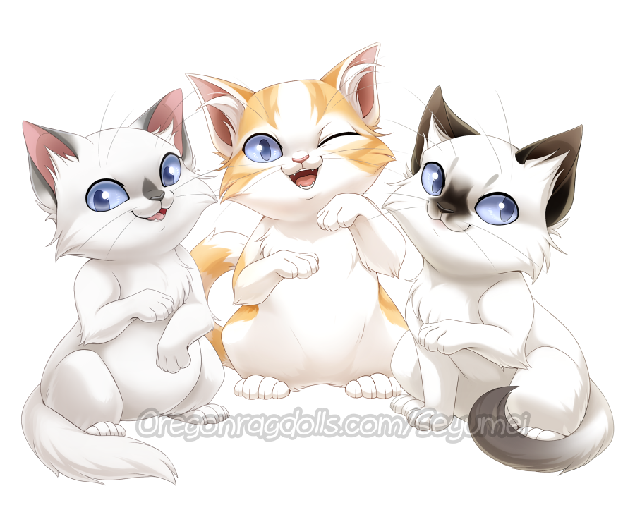 Com: Not So Many Ragdolls 5 by Seyumei on DeviantArt
