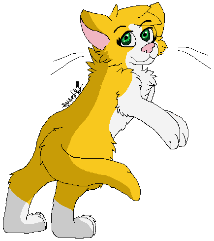 Webkinz gold best sale and white cat