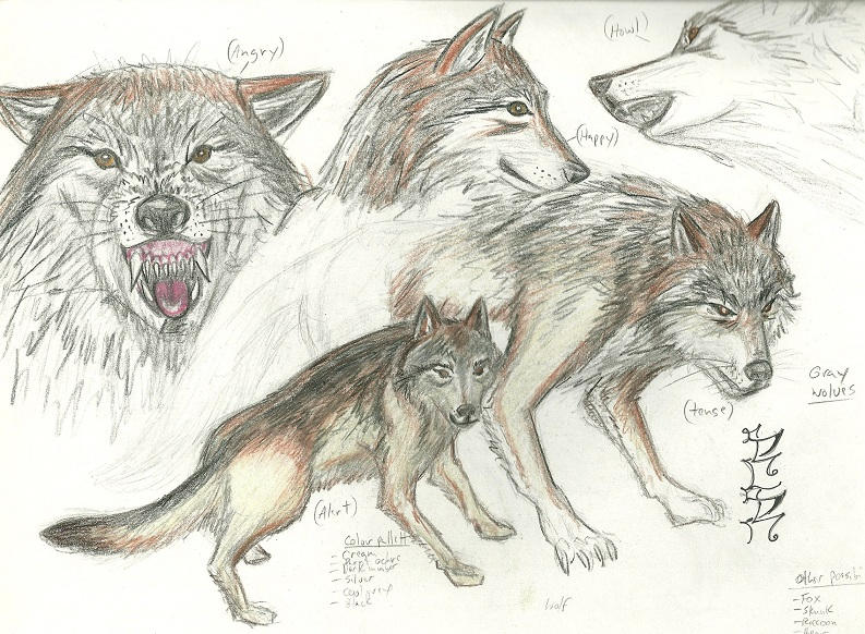 wolves multi-pose by wikkidkid on DeviantArt