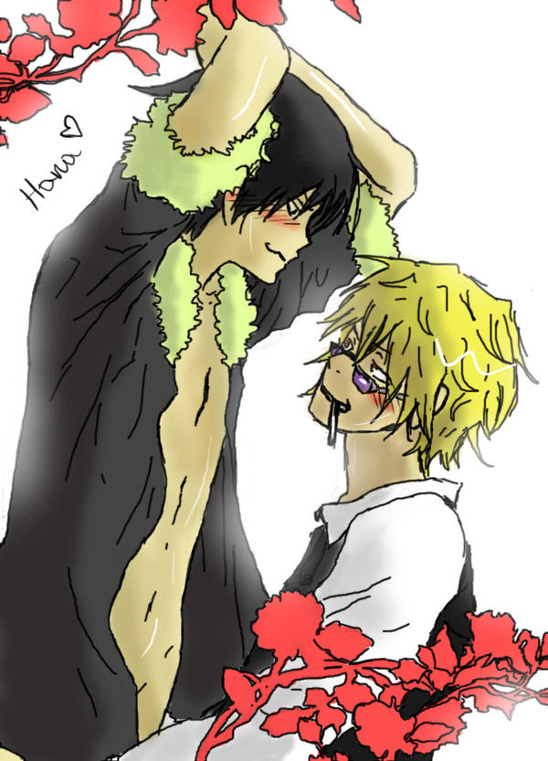 Izaya x Shizuo: Flowers...