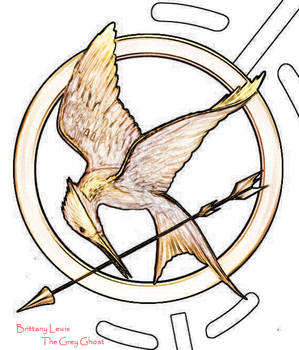 Hunger Games Mockingjay