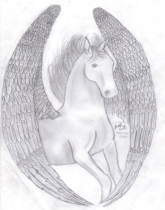 Pegasus