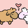 Sheep Love